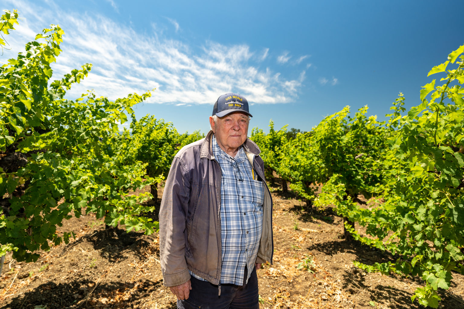 ‘Keep Chugging Along’: Potter Valley wine grape grower defies early ...