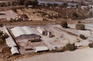 flagship location in Walnut Grove (photo of location circa 1957)